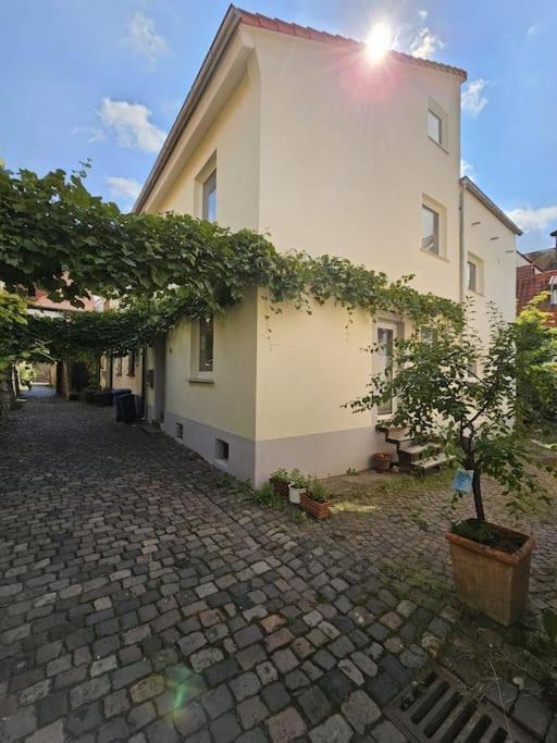 Casa Ciconia - Ueber Den Daechern Der Altstadt Freinsheim Exterior photo