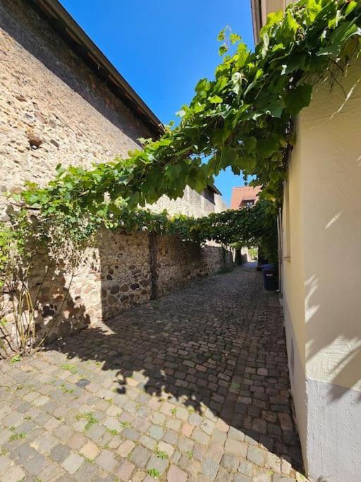 Casa Ciconia - Ueber Den Daechern Der Altstadt Freinsheim Exterior photo